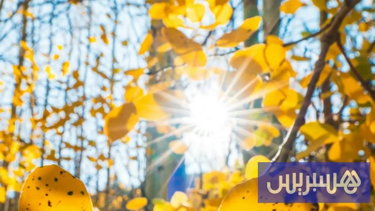 موجة حر تضرب البلاد مع توقعات تصل إلى 47 درجة